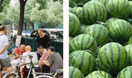 吃瓜条件,揭秘吃瓜背后的心理与社交现象