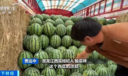 吃瓜自由水晶瓜,揭秘吃瓜自由的独特魅力