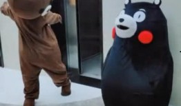 吃瓜小熊茅酒,探寻传统酿造工艺与现代口味的完美融合