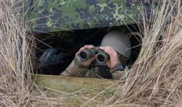 吃瓜群众围观训练,揭秘网络围观现象背后的心理与社会效应