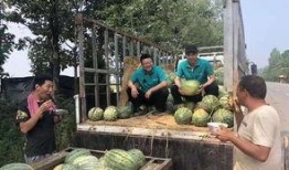 万人吃瓜,揭秘“吃瓜”背后的网络现象与文化现象