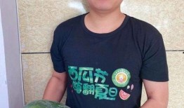 沙河 吃瓜,揭秘吃瓜群众的狂欢盛宴