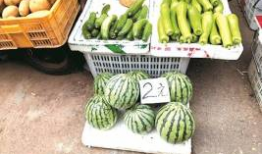 吃瓜自由水晶瓜,揭秘吃瓜自由的独特魅力