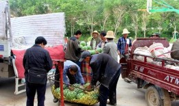 任县吃瓜群众,揭秘当地生活百态