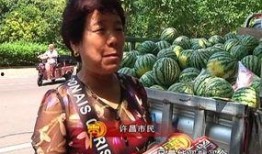 木姐吃瓜群众,揭秘娱乐圈幕后故事