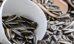 村口嗑瓜子吃瓜,闲话家常，品味乡村生活百态