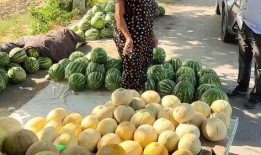 普宁热门吃瓜事件,最新吃瓜事件揭秘，真相背后引网友热议