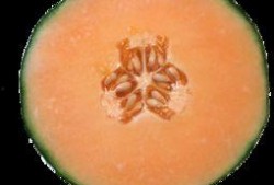 来月经吃哈密瓜,经期女性食用哈密瓜的益处与注意事项