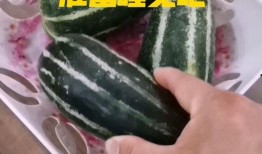 睡觉吃瓜好吗,健康与娱乐的平衡之道