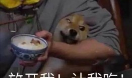 开朗的带你吃瓜,揭秘娱乐圈那些事儿