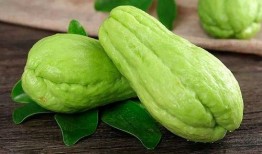 吃瓜郁可可,揭秘娱乐圈的甜蜜瓜田