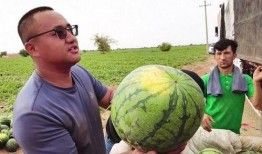 大丰吃瓜新闻,揭秘当地热点事件背后的真相与笑料