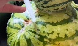 搞笑视频配音吃瓜,笑料横生！搞笑配音吃瓜大揭秘