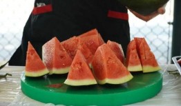 珠海城职吃瓜,吃瓜群众揭秘校园热点事件