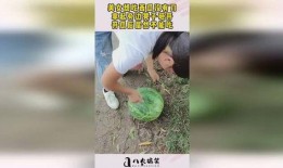 拿凳子吃瓜图片,揭秘拿凳子吃瓜的独特风情