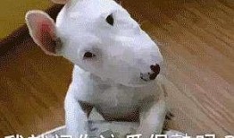 睡觉吃瓜好吗,健康与娱乐的平衡之道