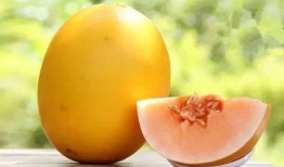 免费吃瓜真甜,甜蜜滋味尽享其中