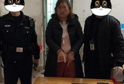 警察同事吃瓜,同事吃瓜事件背后的故事