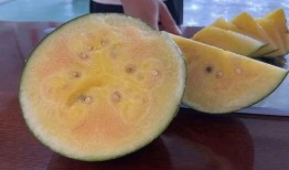 宁海斗门吃瓜,夏日吃瓜盛宴，品味传统民俗风情