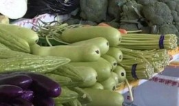 吃瓜宝葫芦,神奇葫芦背后的神秘力量