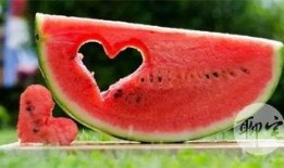 子圣视角吃瓜,揭秘娱乐圈那些不为人知的瓜料