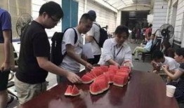 土耳其吃瓜群众图片大全,吃瓜群众趣味图鉴