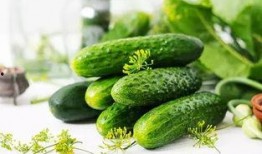 吃瓜吃哪个部位,揭秘吃瓜达人偏爱哪个部位的秘密