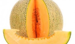 外伤吃哈密瓜,哈密瓜助力营养补给与肌肤修复