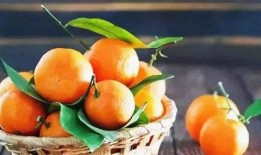 桔子能同茄瓜一起吃吗,桔子与茄瓜同食的兼容性探讨