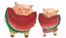 云南猪儿吃瓜,探寻地方特色美食文化