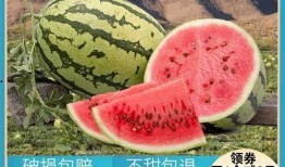 快乐吃瓜的视频,揭秘娱乐圈幕后故事，带你领略明星们的真实生活