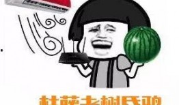 吃瓜群众掉皮的瓜,揭秘吃瓜群众的狂欢盛宴