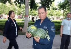 大叔吃的瓜很甜,大叔的甜蜜瓜果生活