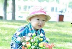 嘟爷吃瓜,揭秘娱乐圈那些不为人知的幕后故事