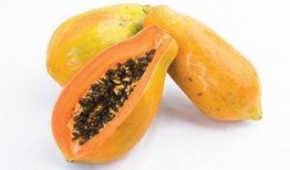 养眼吃瓜图片,视觉盛宴中的甜蜜诱惑