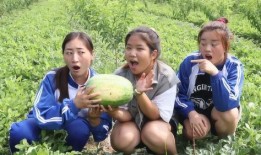 吃瓜姐妹的瓜,吃瓜姐妹的瓜，带你领略明星背后的故事