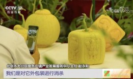 布朗云吃瓜,揭秘网络吃瓜群众的狂欢盛宴