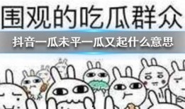 抖音大型吃瓜,揭秘热门事件背后的真相