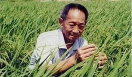 吃粮不忘袁隆平吃瓜不忘,传承瓜果丰收喜悦