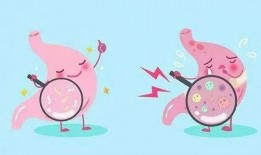 吃瓜胃不舒服,揭秘夏日消暑美食的度与量