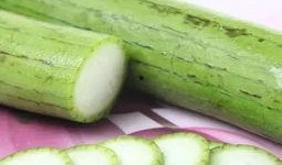 什么虫吃瓜根,探究食瓜虫的神奇蜕变之旅