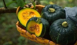 黄金栗子瓜怎么吃,解锁家常烹饪新境界