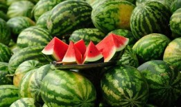 免费吃瓜真甜,甜蜜滋味尽享其中