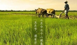 吃瓜芒种,吃瓜群众如何正确“吃瓜”