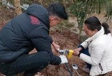 过年回农村吃瓜,过年回农村吃瓜的温馨时光