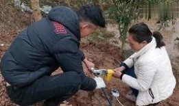 过年回农村吃瓜,过年回农村吃瓜的温馨时光