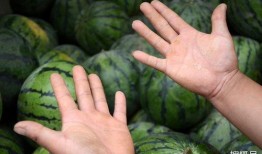 恶性许昌d吃瓜,吃瓜群众视角下的真相追踪