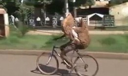 骑车吃瓜搞笑视频,吃瓜视频里的欢乐骑行时光