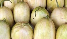 小瓜哺乳期可以吃吗,小瓜食品的安全性解析