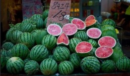 魔都吃瓜群众,揭秘都市生活百态